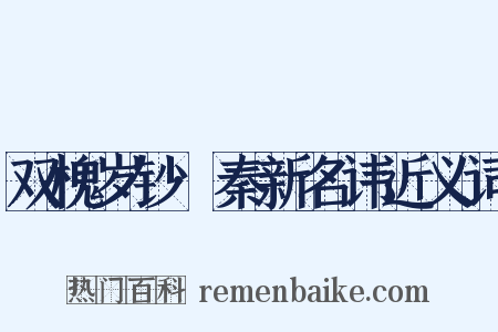 双槐岁钞·秦新名讳近义词是什么意思的图片